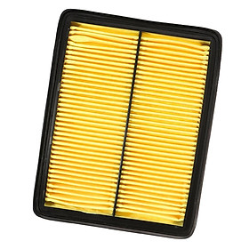 Engine Air Filter Cleaner
