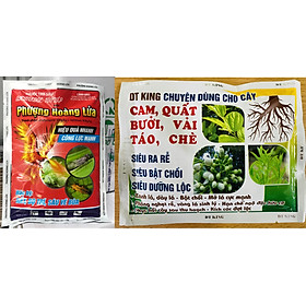 Combo trừ sâu PHL 200g và phân bón lá DT-King 100g - Trừ sâu chích hút trên lúa, ngô, khoai, rau các loại, cây ăn quả - Kích rễ, bật chồi, xanh lá