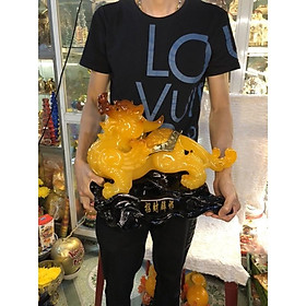 Mua Tỳ hưu phong thuỷ