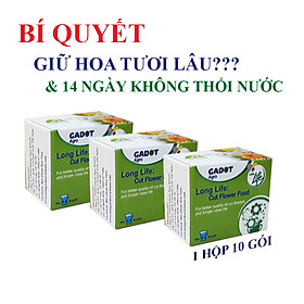 GÓI DƯỠNG HOA TƯƠI LONGLIFE CỦA ISRAEL (COMBO 30 GÓI), GIỮ HOA TƯƠI LÂU GẤP 2 LẦN VÀ 14 NGÀY KHÔNG THAY NƯỚC MỚI