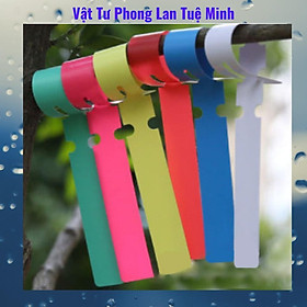 Set 20 thẻ ghi tên dạng rút đủ 5 màu trong 1 set - Ghi tên cây cảnh, phong lan, đồ vật