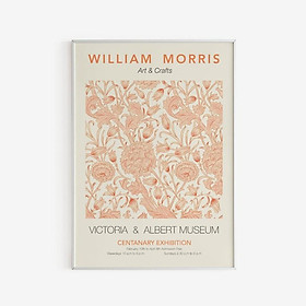 Tranh treo tường | Triễn lãm-William Morris - Soft Orange Pastel Color 06 , tranh canvas giá rẻ