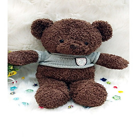 Gấu Bông TEDDY LÔNG CHỈ ÁO LEN MÀU SOCOLA