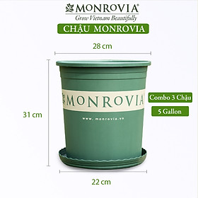 3 Chậu nhựa trồng cây MONROVIA 5 GL, chậu trồng cây, chậu cây cảnh mini, để bàn, treo ban công, treo tường, cao cấp, chính hãng thương hiệu MONROVIA