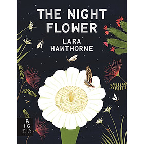 Hình ảnh sách Sách - The Night Flower - Sách Nói Về Loài Hoa Xương Rồng Nở Về Đêm, Cây Xương Rồng Saguaro Trên Sa Mạc Sonoran Ở Arizona - Á Châu Book, Bìa Cứng, In Màu