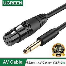 Cáp chuyển đổi từ 6.5mm sang AV Cannon (XLR) âm cho microphone, stereo, mixer, amplifier UGREEN AV131 - Hàng chính hãng