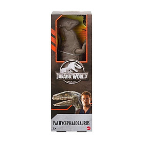 Đồ Chơi Mô Hình Khủng Long Pachycephalosaurus 12 Inch JURASSIC WORLD MATTEL GNH28/GWT54