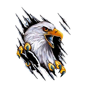 Eagle Car Sticker Decals Simulation Cartoon for Bumpers Motorcycle