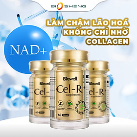 Viên Uống Hỗ Trợ Ngăn Ngừa Lão Hóa Biowell Cel-R Supplement 60s - Chống Lão Hóa, Giảm Nếp Nhăn- Biosheng Phân Phối Chính Hãng