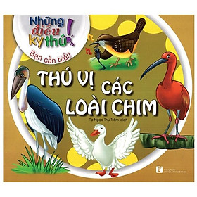 Sách Những Điều Kỳ Thú - Thú Vị Các Loài Chim