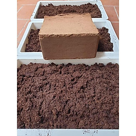 Mua 5Kg Đất nén hữu cơ dạng viên xơ dừa bổ sung vi sinh cho cây chuyên trồng rau mầm  rau sạch  hoa  cây cảnh ...