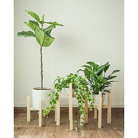 Combo 3 Đôn Gỗ Chậu Cây Ban Công Đủ Size, Chân Kệ Giá Đỡ Cây Cảnh Đẹp