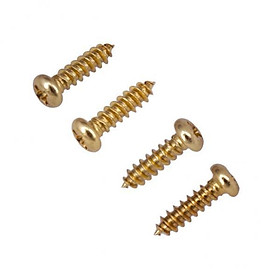 2X Set of 50 Tuning Peg Mounting Screw for Acoustic Guitar Electric Bass Golden
