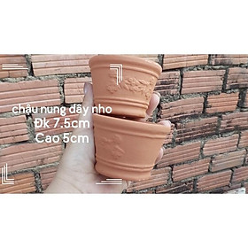 Chậu đất nung dây nho size cao 5cm đk 7.5cm trồng sen đá xương rồng_hàng sẵn