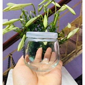 Mua GIÁ HỦY DIỆT HŨ THỦY TINH CÓ NẮP LÀM SỮA CHUA 200ML  100ML