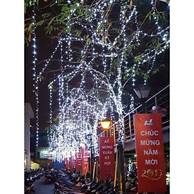 Mua Dây Đèn Trang Trí LED Đúc F5 Dùng Để Quấn Cây  Thả Tán Ngoài Trời  Làm Giàn LED Mái Siêu Bền  Siêu Đẹp (Không Kèm Nguồn)