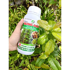 Mua SIÊU BUNG ĐỌT CHUYÊN CHO MAI  500ML - Giúp cây tăng trưởng  nhú đọt mạnh  giúp lá dày xanh bóng