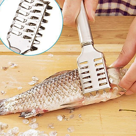 Mua Dụng Cụ Đánh Vảy Cá INOX KDQ896 Đa Năng  Tiện Lợi  Tiết Kiệm Thời Gian