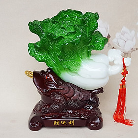 CÓC CÕNG BẮP CẢI LỚN 40CM