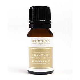 Tinh dầu hoa cúc 20% dầu jojoba - Pure essential oil 10 ml - CHAMOMILE 20% IN JOJOBA OIL