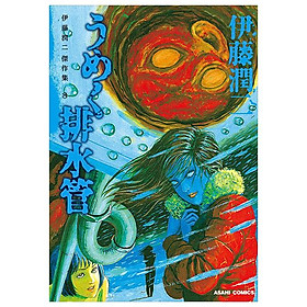 Sách ngoại văn: Ito Junji Kessakushu (Masterpieces) 8 (Japanese Edition) - Ito Mika