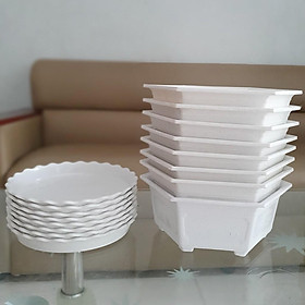Combo 8 chậu hoa bonsai lục giác 21cm kèm 8 đĩa lót chậu