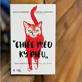 Chiếc mèo kỳ diệu