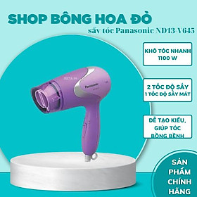 Máy sấy tóc Panasonic EH-ND13-V645 - Hàng chính hãng
