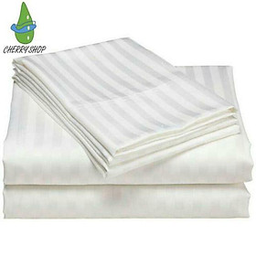 bộ drap cotton sọc cho khách sạn size: 1m/m2/m4/m6/m8 x 2m (nệm5_17cm) giá gốc
