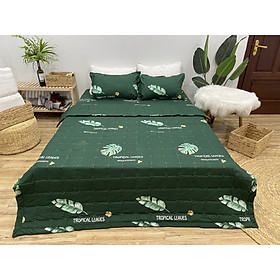 Bộ Chăn Ga Gối Hè Thu 5 Món CHM32