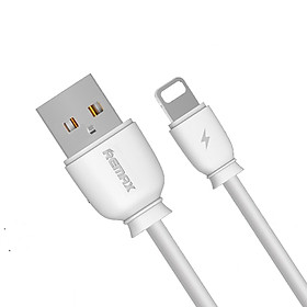 Mua Cáp Sạc Lightning Chiều Dài 1M Dành Cho Các Dòng Iphone và Ipad Remax RC-134i - Tặng Dây Quấn Cáp-Chính Hãng