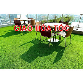 Mua Thảm cỏ nhân tạo giá rẻ  thảm cỏ trang trí  cỏ 2cm( Giao Hỏa Tốc