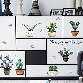 Decal dán tường chậu xương rồng sk7126
