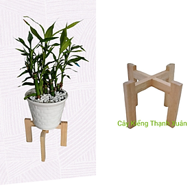 Mua Đôn Gỗ MINI Để Chậu Cây  Kích thước Cao 11x Rộng 11cm  Lọt Lòng chậu 10cm
