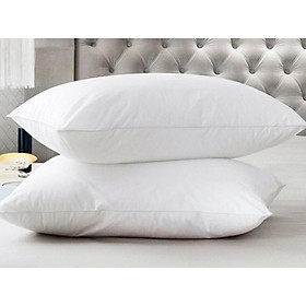 Mua Gối Nằm Lông Vũ Siêu mềm đủ kích thước - 1 cái