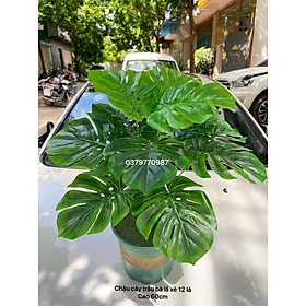 Mua Cây giả - Cây lá xẻ 12 lá  cao 60cm kèm chậu (ảnh +video)