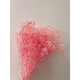 Mua Hoa Baby Khô Bó 120gr - Quà Tặng Hoa Khô  Decor Trang Trí
