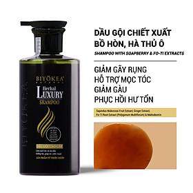 Dầu gội bồ kết thảo dược thiên nhiên, kích thích mọc tóc, dưỡng tóc, phục hồi tóc hư tổn Herbal Luxury Biyokea 320ml