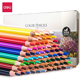 Bút chì màu gốc dầu cao cấp deli - 6565 / 6566 / 6567