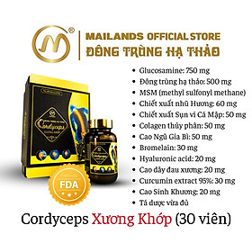 Viên nén đông trùng hạ thảo Cordyceps Xương Khớp, Hỗ trợ  đau khớp, khô khớp do viêm khớp, thoái hóa khớp, Hộp 30 - 60 viên