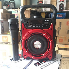 Mua LOA KARAOKE PROFIT 668 669 - Hàng nhập khẩu