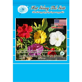 20h Hạt Giống Hoa Bông Phấn Bốn Giờ - Mix Nhiều Màu (Mirabilis)