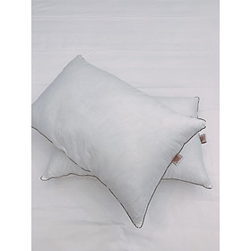 Mua COMBO 2 Ruột Gối lông vũ MICRO kt 50*70