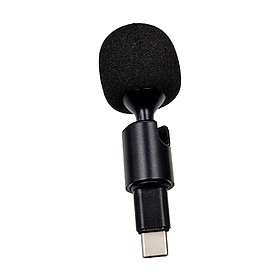 Portable USB Mini Microphone Wireless Lavalier Microphone for Skype Remote Work Computer