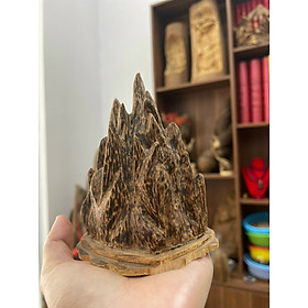Mua Trầm cảnh mini gỗ trầm hương tốc tự nhiên đặt bàn làm việc  taplo xe ô tô