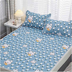 Mua Chiếu điều hòa cao su non 3D  chiếu cao su bo chun latex tặng kèm 2 vỏ gối cùng màu