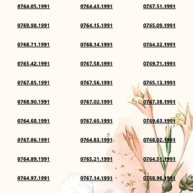 Sim đẹp Mobifone Đuôi 1991 Năm Sinh Phong Thủy