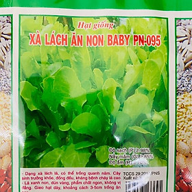 Hạt giống xà lách ăn non