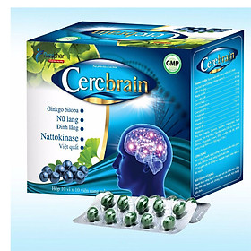 Thực phẩm bổ sung chất bổ cho người lớn Cerebrain