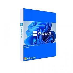 Mua WINDOWS 11 HOME 64BIT ENG INTL 1PK DSP OEI DVD (KW9-00632) - hàng chính hãng